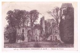 Fontenay Tresigny    -  Ruines Du Vivier - Fontenay Tresigny