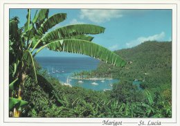 St. Lucia  Marigot  # 233 # - Santa Lucia