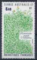 1990 TAAF 154**  Flore - Unused Stamps