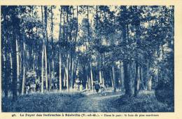 Le Foyer Des Indirectes à Réalville  Dans Le Parc  Le Bois De Pins Maritimes    Cpa - Realville