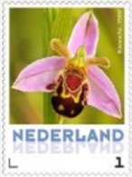 Nederland  2013 Ucollect  Orchidee 5  Bijenorchidee Postfris/mnh/neuf - Nuevos