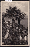 Brissago (Lago Maggiore) ; Strada E Primiera Villa - 1948 (10´357) - Brissago