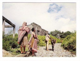 ARCHIPEL  DES  COMORES  /  DOMONI  ( ANJOUAN ) /  SCÈNE  FAMILIÈRE  ( Femmes Et âne ) /  Edit.  OPTICAM  N° 82 - Comoros