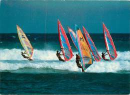 CPSM Planche à Voile  L1302 - Water-skiing