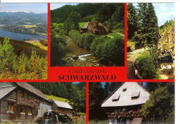 Grüb Aüs Dem SCHWARZWALD - Hochschwarzwald