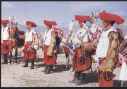 China - Tibetan Young Men On Horse-race - Tíbet