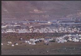 China - A Gathering On The Grassland, Tibet - Tíbet