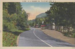 North Carolina Asheville U S Highway No 74 At Bat Cave - Asheville