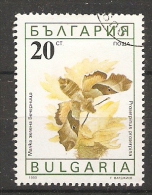 Bulgaria 1990  Butterflies  (o)  Mi.3854 - Used Stamps