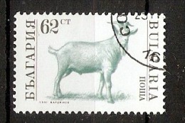Bulgaria 1991  Domestic Animals  (o)  Mi.3882 A - Used Stamps