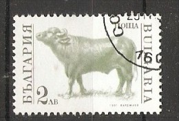 Bulgaria 1991  Domestic Animals  (o)  Mi.3883 A - Used Stamps