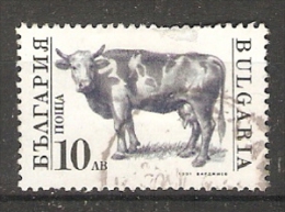 Bulgaria 1991  Domestic Animals  (o)  Mi.3885 - Used Stamps