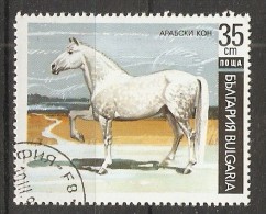 Bulgaria 1991  Horses  (o)  Mi.3905 - Oblitérés