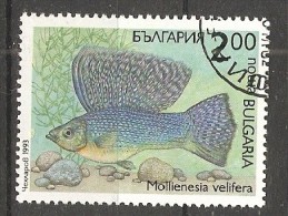 Bulgaria 1993  Fish  (o)  Mi.4050 - Oblitérés
