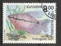 Bulgaria 1993  Fish  (o)  Mi.4054 - Oblitérés