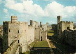 CPSM Pays De Galles-Caernarvon Castle  L1303 - Caernarvonshire