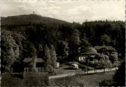 AK Oybin, Hain Am Hochwald, Forsthaus, Bus, Ung, 1964 - Oybin