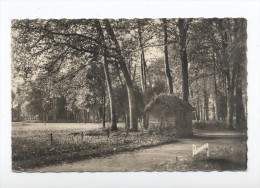 Chelles-sur-Marne. La Cabane Du Gardien Dans Le Parc. - Chelles