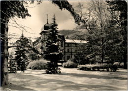 AK Friedrichroda, Partie Im Park, Gel, 1963 - Friedrichroda