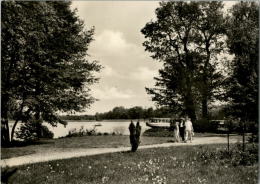 AK Fürstenberg, Blick Vom Kulturpark Zum Schwedtsee, Gel, 1966 - Fürstenberg