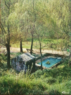 70 - PESMES - La Fontaine Du Theuriot. - Pesmes