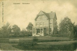 Cappellen (Kapellen) - Berkenhof - Kapellen