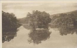 West Virginia Lewisburg Greenbrier River Nera Lewisburg Albertype - Altri & Non Classificati