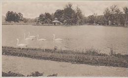 West Virginia White Sulphur Springs The Lake Albertype - Sonstige & Ohne Zuordnung