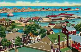 Mai13 794 : Nantucket Harbor - Nantucket