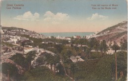 Las Palmas - Vista Del Camino Al Monte. España. - La Palma