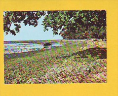 Postcard - Africa, Gabon       (V 17728) - Gabun