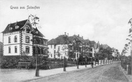 Gruss Aus Salzuflen 1905 Postcard - Bad Salzuflen