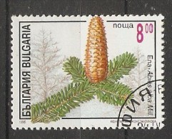 Bulgaria 1996  Conifers  (o)  Mi.4209 - Oblitérés