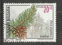 Bulgaria 1996  Conifers  (o)  Mi.4211 - Oblitérés