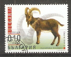 Bulgaria 2000  Adaptable Animals  (o)  Mi.4484 - Oblitérés