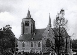 SINT PIETERS LEEUW - De Kerk - Sint-Pieters-Leeuw