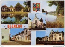 BLENEAU - 5 Vues : Château - Etang Du Château - Rue D´Orléans - Mairie - Au Centre, Eglise Saint Loup - N° F 31 909 - Bleneau