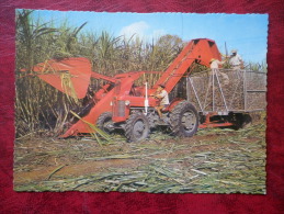 Mechanical Sugar Cane Harvester - Tractor - Australia - Unused - Tracteurs