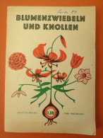 Fritz Hertel "Blumenzwiebeln Und Knollen" (Lehrmeister-Bücherei, Leipzig) - Natuur