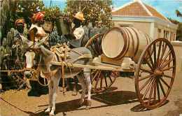 Mai13 955 : Curaçao  -  Water Vendor - Curaçao