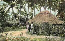 Mai13 967 : Porto Rico  -  Peon's Hut - Puerto Rico