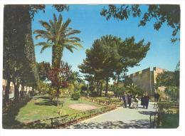 B3409 Manfredonia (Foggia) - La Villa Comunale / Viaggiata 1961 - Manfredonia