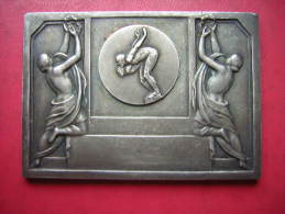 BELLE PLAQUE EN BRONZE  SPORT SIGNEE RAISSE DEMED ??   NATATION - Autres & Non Classés