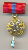 Yugoslavia - Miniature Of The Order Of The National Merit With Gold Star, 1st Class, With A Stick - Andere & Zonder Classificatie