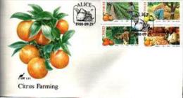 CISKEI, 1988 , Citrus Farming,  Mint First Day  Cover,  FDC 1.27 - Ciskei