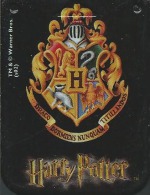 CARTE MEMOIRE PS1 1 MO HARRY POTTER - Toebehoren