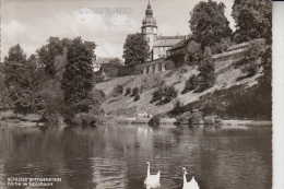 5920 BAD BERLEBURG, Schloss Wittgenstein, Schloßpark 1964 - Bad Berleburg