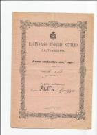 CALTANISSETTA R.GINNASIO R.SETTIMO ANNO 1903-04 TIP. OSPIZIO ALUNNO: STELLA G.PPE - Diploma's En Schoolrapporten