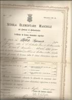 CALTANISSETTA SCUOLA ELEMENTARE LUGLIO 1900 CM 29 X 39 - Diploma & School Reports