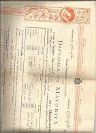 CALTANISSETTA DIPLOMA DI MATURITA' 1919 CM 38 X 30 PRES. ANGELO GENNUSO COMM. NATALE - Diplomi E Pagelle